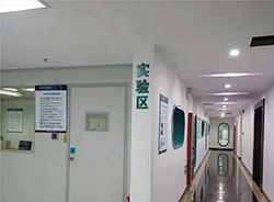 湖北DNA亲子鉴定机构电话和地址，湖北权威亲子鉴定机构到哪里