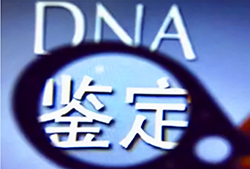 湖北怀孕几个月怎么鉴别宝宝是谁的，湖北怀孕亲子鉴定费用是多少