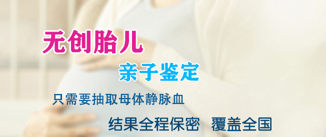 湖北胎儿亲子鉴定预约,湖北怀孕亲子鉴定机构去哪里