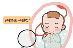 湖北孕期亲子鉴定机构地址查询