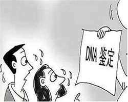 湖北私密亲子鉴定结果准不准确(检测咨询)